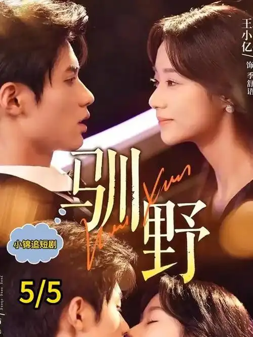 长街灯火 免费追剧网站手机版